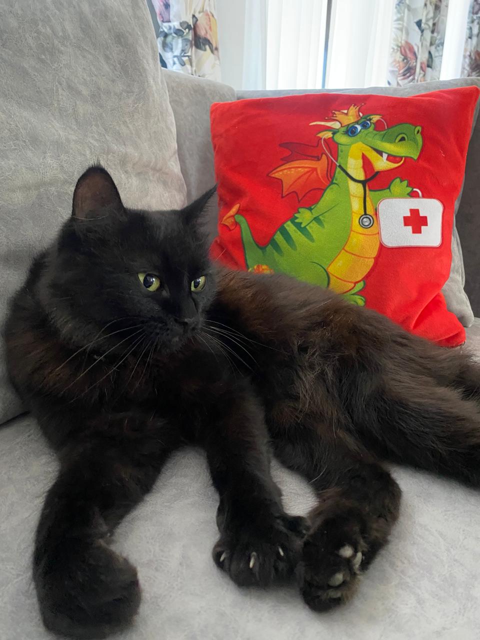 Зоотерапия в хосписе