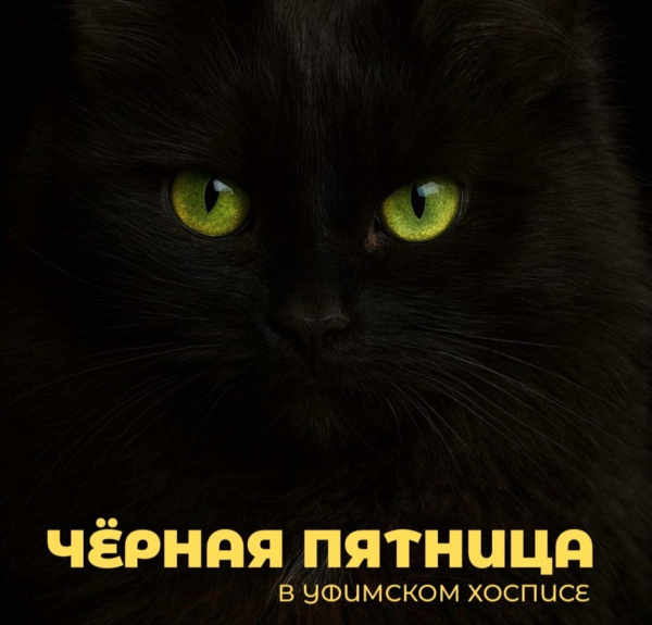 Сколько собрала "Чёрная пятница" В Уфимском хосписе? Подводим итоги