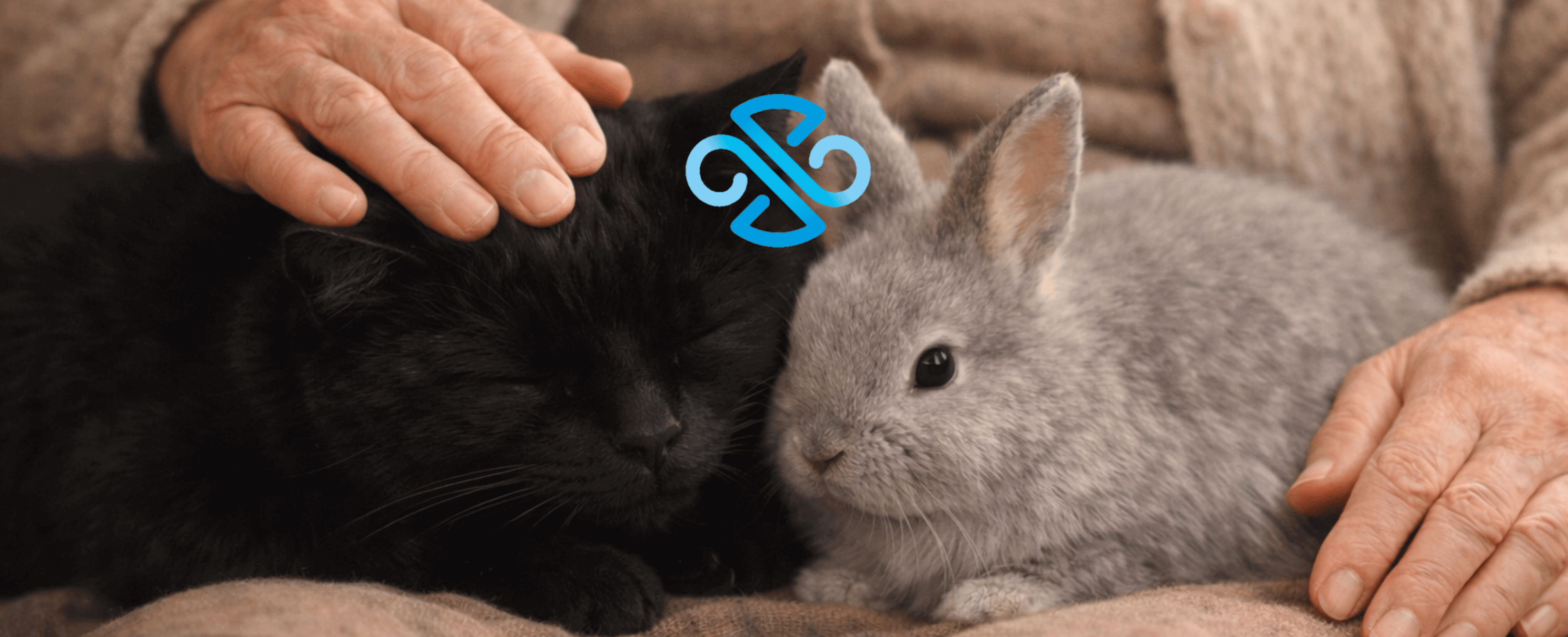 Зоотерапия