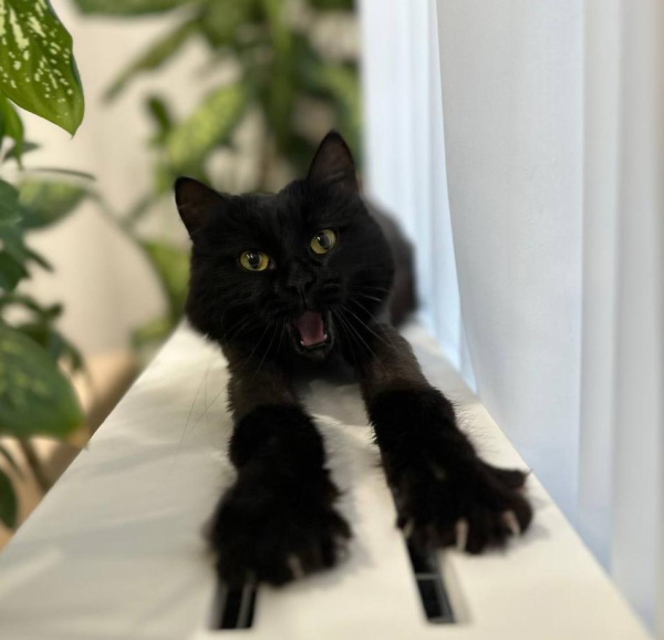 Живой уголок 2026